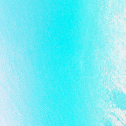 t y