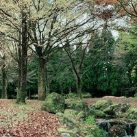 川内 一輝