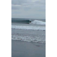 田宮 照樹