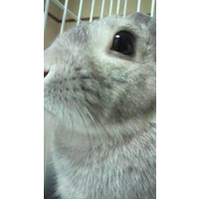 江崎 俊介