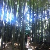 山路 亜紀