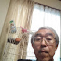 矢田 直之