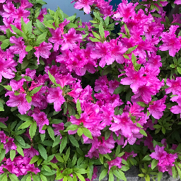 — —