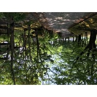 本部 光典