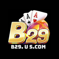 B 29