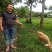 金光 淳規