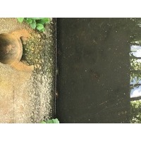 佐藤 太郎