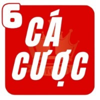 Trangcacuocbongda6 jpnet