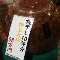 上田 和範