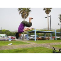 狩野 真宏