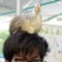 羽田 健太郎