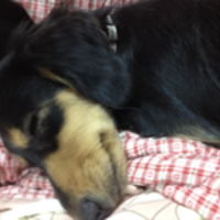 test test