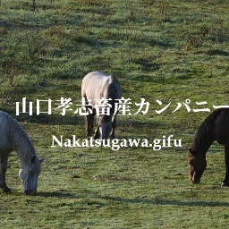 山口 孝志