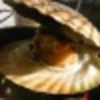 井上 慎太郎