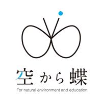空から蝶