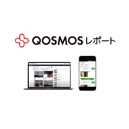 Qosmosレポート