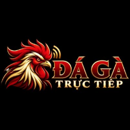 Dagaplus