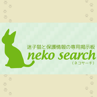 ネコサーチ | 迷子猫と保護情報の専用掲示板