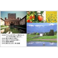越境EC ＆BCP & VR services