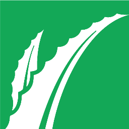 アロエ